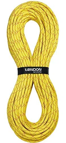 Kong Tendon Salamander 10.2 Canyoning Seil, Gelb, 200 m