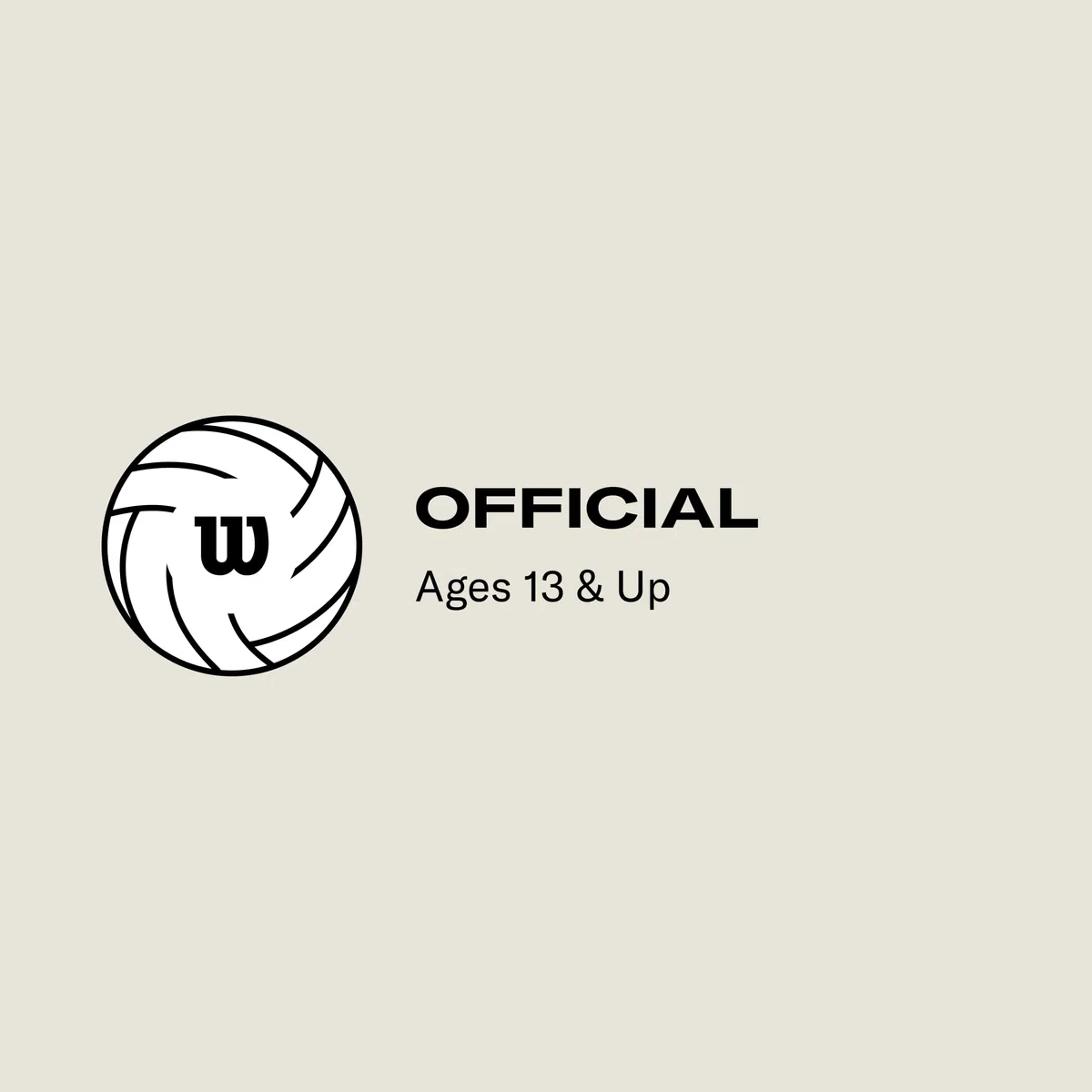 Wilson AVP Game Volleyballs - Official Size