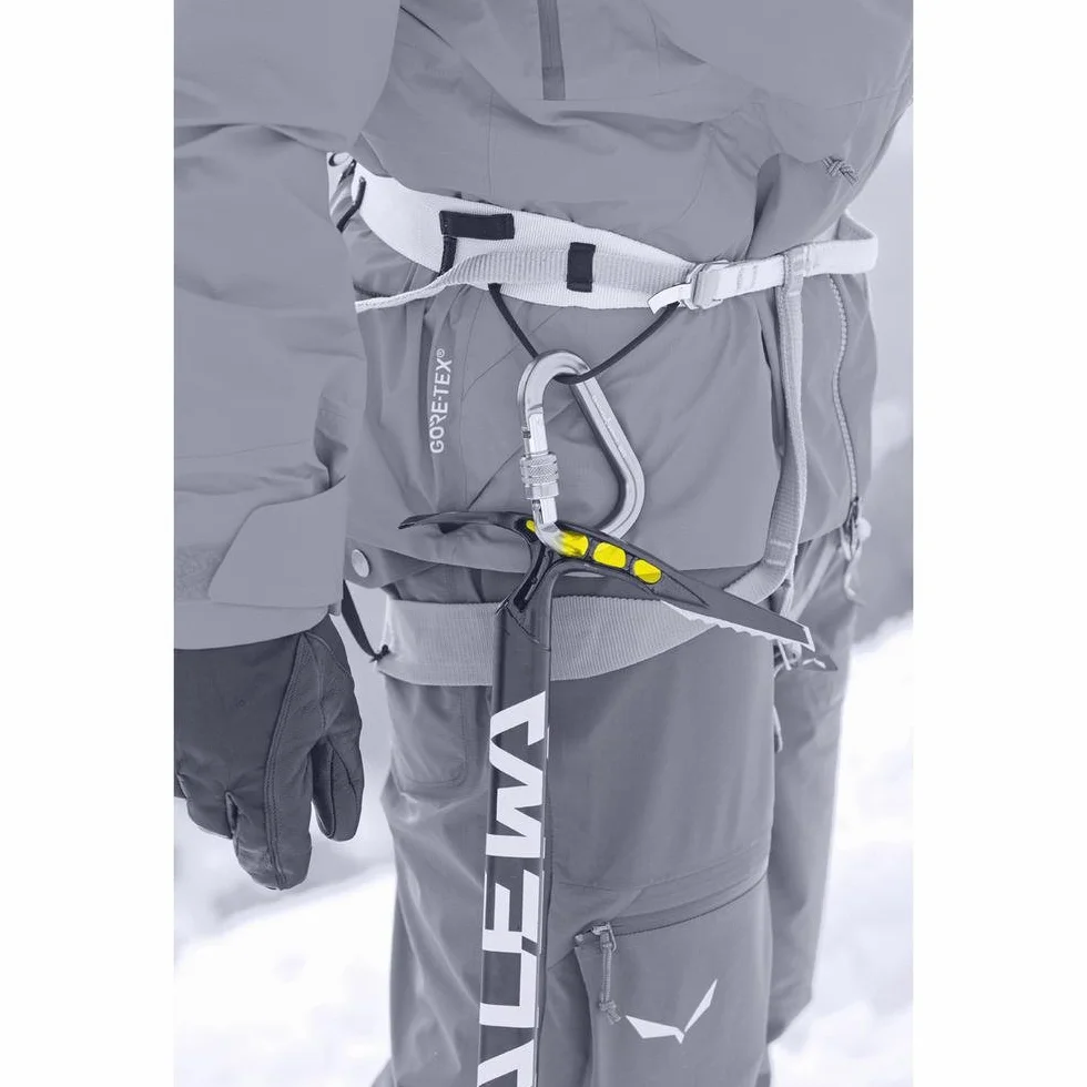 Salewa Alpine-X Eispickel, Schwarz, 65