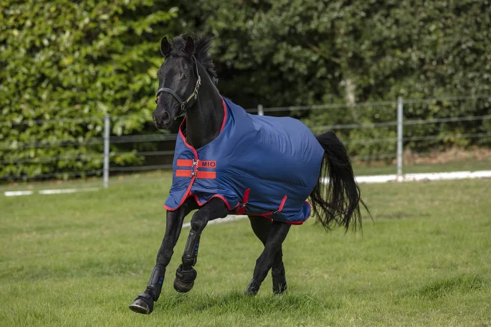 Horseware Amigo Mio Turnout lite Dark Blue red Gr. wählbar (155)