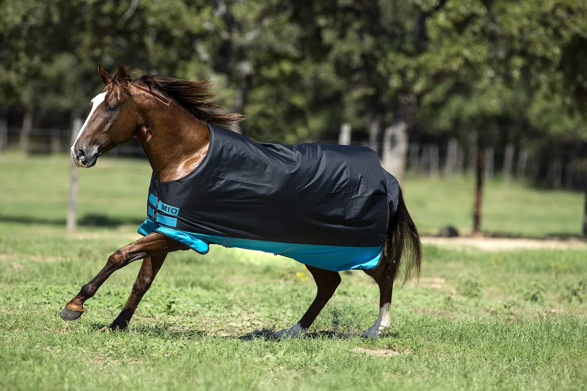 Horseware Amigo Mio Turnout lite Dark Blue red Gr. wählbar (155)