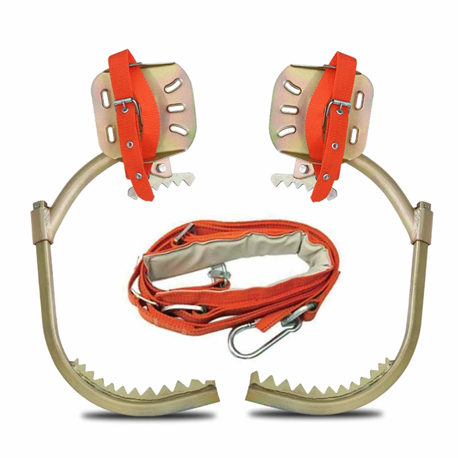Baumpflege Spikes mit Sicherheitsgurt, Forst Steigeisen Baumsteigeisen Baumklettern Ausrüstung, Kletter Werkzeug für Elektroarbeiter Indoor- und Outdoor-Sport